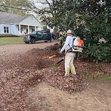 Essential-Leaf-Cleanup-in-Oxford-MS 2